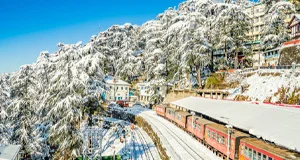 Shimla